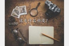 в֮ߴ˵