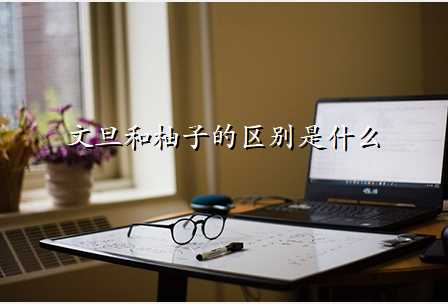 文旦和柚子的区别是什么